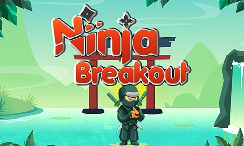 Ninja Breakout